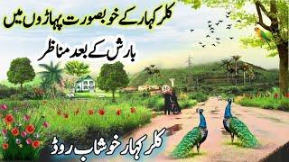 Beautiful Valley of Kalar Kahar|khushab to Kalar kahar Road