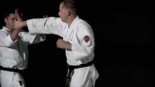 Karate Jutsu introduction - Lionel Froidure