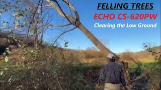 Echo CS-620 PW Chainsaw - Clearing The Low Ground Hay Field Has Started