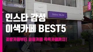 [유대감 4기 6조 식스센스] 인스타 감성 이색카페 BEST5