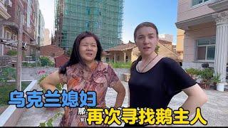 洋媳妇找不到鹅主人，让阿美英买铁锅要“炖鹅”