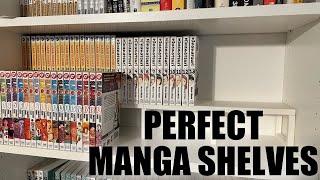 CLEAN Manga Display | Double Shelf Space