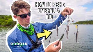 HOW TO FISH A UMBRELLA RIG! ( Alabama RIG )