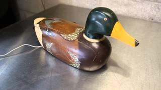 Duck Phone Ringing