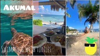 Akumal Beach - Mexico - Swimming with Turtles - Half-Day Trip from Playa del Carmen by "Colectivo"