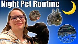 NIGHT PET ROUTINE: Nighttime Routine with 8 Pets | Rabbits, Hamster, Dachshunds, and Betta Fish