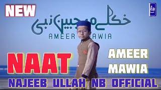 Kho Kolay Majabeen Nabi | Ameer Mawia | Pashto New Naat | Najeeb Ullah NB official #naat #nazam #fy