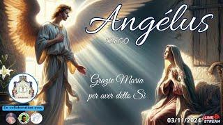 Angelus