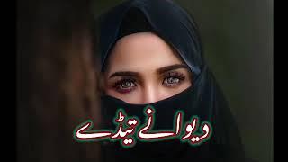 Dewany Tedy Holy Wady Hain (Slow and Reverb) saraiki song