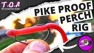 PIKE PROOF PERCH RIG - KNOTABLE FINESSE  WIRE LEADER FOR UL & BFS PERCH LURE FISHING + HACK