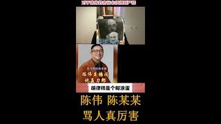 云朵朋友陈伟陈某某骂人真厉害pk胡律师pk刀迷