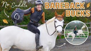 Bareback Bucking - No stirrup November - Cottage catch up! This Esme