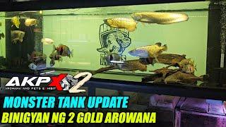 Binigyan Ako ng 2 Gold Arowana! Monster Tank Update - Feeding Time