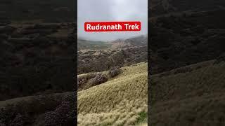 Rudranath trek | panchkedar baba rudranath #trek #bholenath