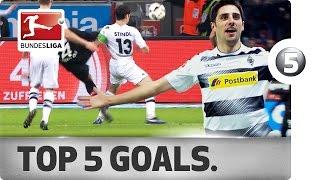 Lars Stindl - Top 5 Goals - Gladbach's Captain Fantastic