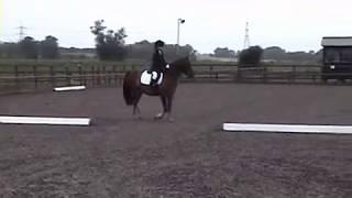 J&K Dressage Fenning Farm 17th August 2011