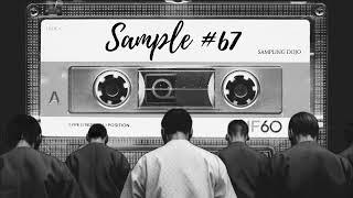 Sample Flip #67