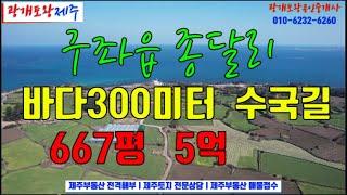 240. [제주도토지] 아름다운 종달리수국길 300여미터  2층건축시 확실한 바다뷰ㅣ3필지로 분할된 상태  3분이 주소이전 없이 매수가능ㅣ광개토왕공인중개사 010-6232-6260