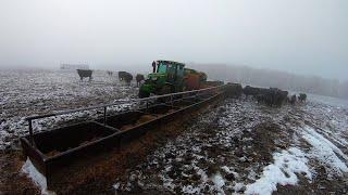 Feeding Cattle in South Dakota