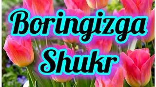 Boringizga shukr (dil izhori)