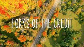 One of the Most Scenic Drive in Ontario | Forks of the Credit Road