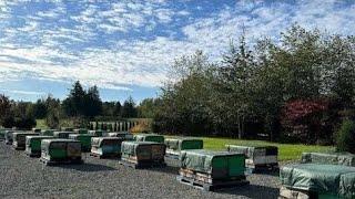 closing and wraping up the season for the beekeeping  Fall 2024