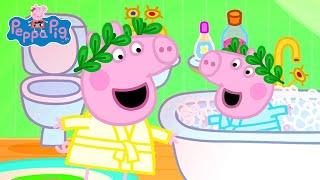 Peppa Pig English Episodes | Peppa Pig Visits Suzy Sheep's Glamping Area