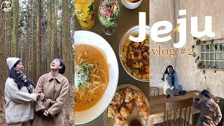제주도 여행 브이로그 2탄 | 제주고로 카페오리프 사려니숲길 중앙통닭 새별오름 별구경