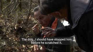 The Travel Show - The guide to truffle hunting, one of the most expensive foods in the World