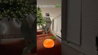 С наступающим #youtubeshorts #новыйгод #cat #top10 #топ5 #рекомендации #реки #рек #подпишись#позитив