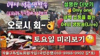 꽃게가 엄청 쌌네~ 9/27️Only one 04시 새벽 쇼핑을 돕는 생방송(Live)운영~ 노량진수산새벽시장 04시 정규생방송~^^ 새롭고 싸고 다양한 수산물 시세의 지표