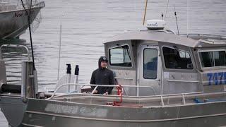 Commercial Salmon Fishing on the Copper River Delta - Cordova Alaska