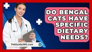 Do Bengal Cats Have Specific Dietary Needs? - PetGuide360.com