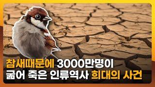 참새가 어떻게...? 대한민국 인구수 절반 이상이 한꺼번에 굶어 죽은 이유