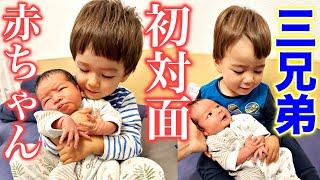 Big brother meets baby brother for the first time! Japanese-Swiss family