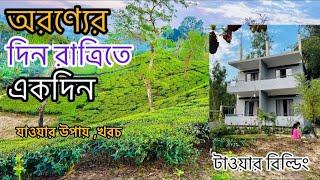 Orronner dinratri.অরণ্যের দিন রাত্রিতে একদিন.শ্রীমঙ্গলের লাক্সারিয়াস রিসোর্ট |