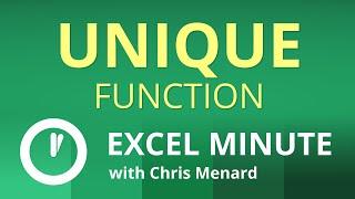 Excel UNIQUE Function |  Excel One Minute Functions Explained