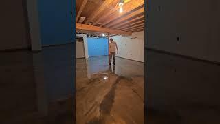 metallic epoxy basement