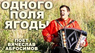 ️ШИКАРНАЯ ПЕСНЯ! Хочется слушать и слушать! Одного поля ягоды