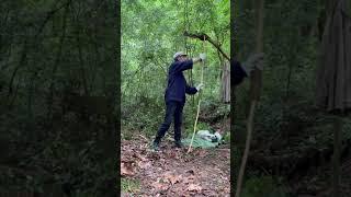 Fabricó un arco con lo que la naturaleza me da #bushcraft #shelter #nature