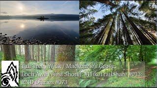 Tall Trees Walk / Mackenzie’s Grove: Loch Awe (West Shore) #HikeTrailShare #013: RND Diaries #073