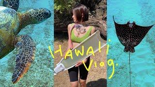 먹고 수영만 하는 거북이 오타쿠의 하와이 브이로그  hawaii vlog