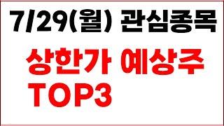 [주식] 7/29(월) 관심종목 상한가 예상주