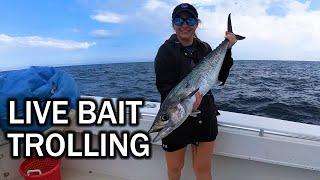 Early Season Kingfish: Trolling Live Bait Around Wrecks & Ledges