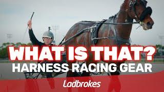 What Is That? Harness Racing Gear