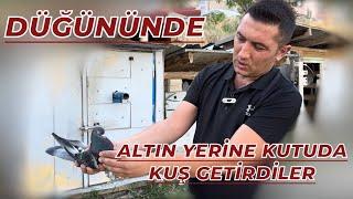 DÜĞÜNÜNDE ALTIN YERİNE KUTUDA KUŞ GETİRDİLER - ONUR YILMAZ KÜMES ZİYARETİ OYUNKUŞU UÇUMU