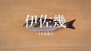 伊佐幾（いさき）のさばき方 - How to filet Striped Pigfish -｜日本さばけるプロジェクト（海と日本プロジェクト）