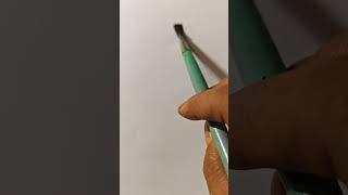 Drawing beautiful Flower | Susmita Barma