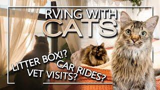 Full Time RVing & Traveling with CATS