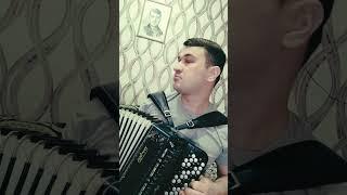 МНОГОТОЧИЕ-Щемит в душе тоска | на баяне #баян #заринск